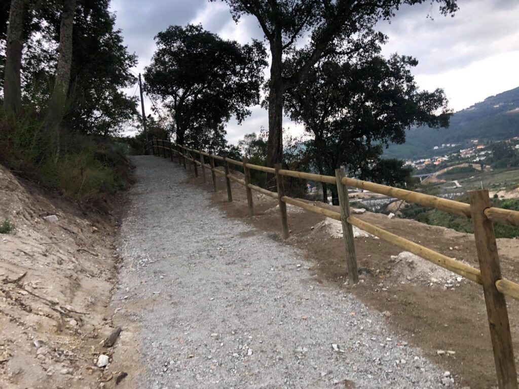 Vedigonçalves - 120016956 1770389806432869 2163485422441021200 n