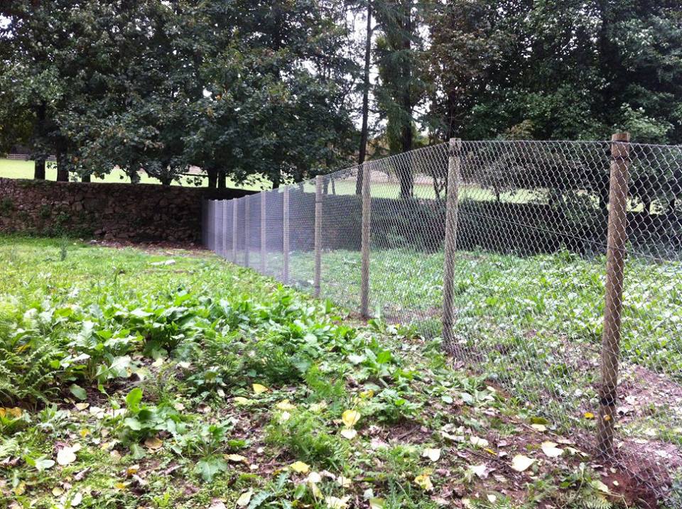 Vedigonçalves - 12801465 160407441019110 3432580566317545157 n