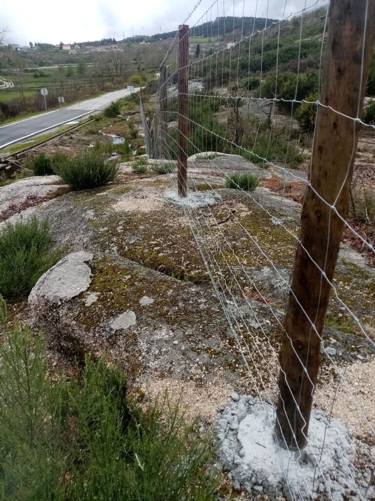 Vedigonçalves - 181002664 466833667980834 1989268935747686896 n