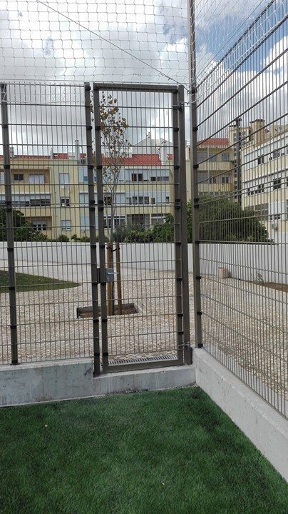 Vedigonçalves - 19114425 836001186574956 1947324371 n