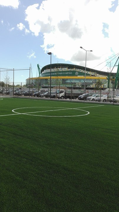 Vedigonçalves - 19141503 836001216574953 1167257328 n