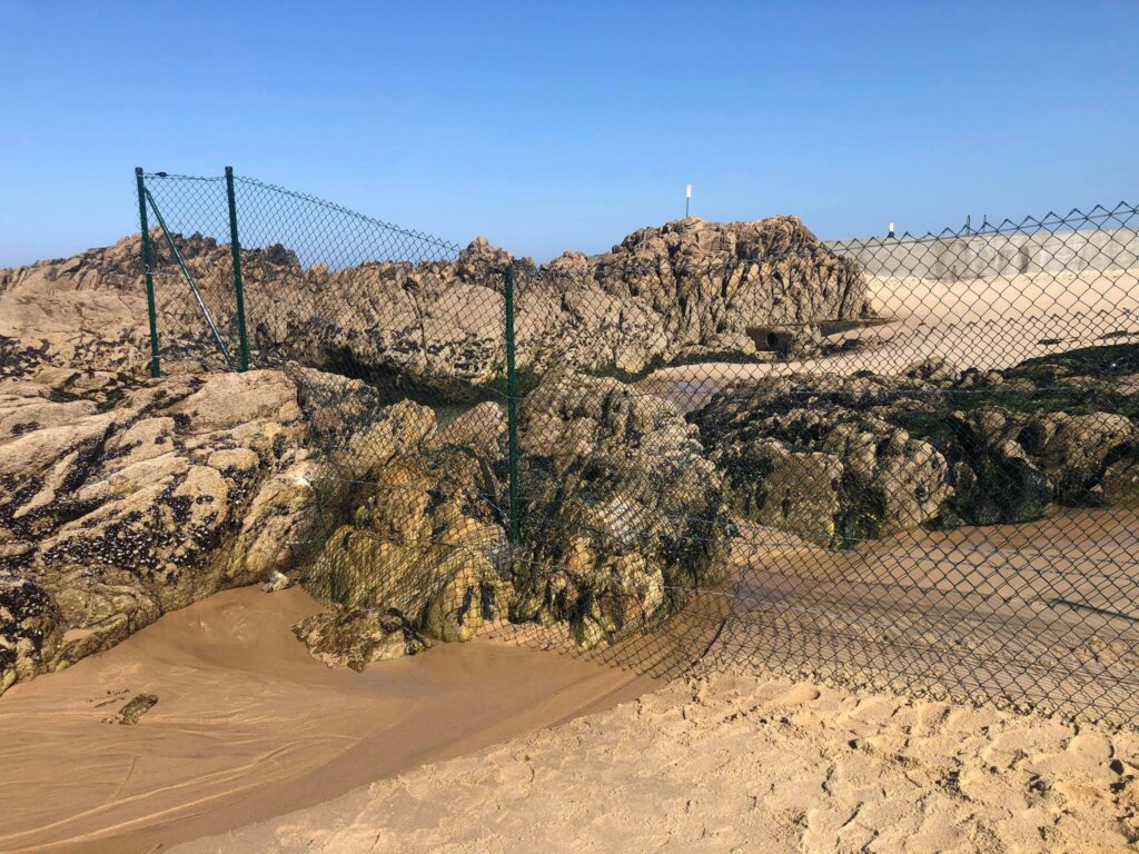 Vedigonçalves - 213827475 518941389325928 3405875334904067287 n