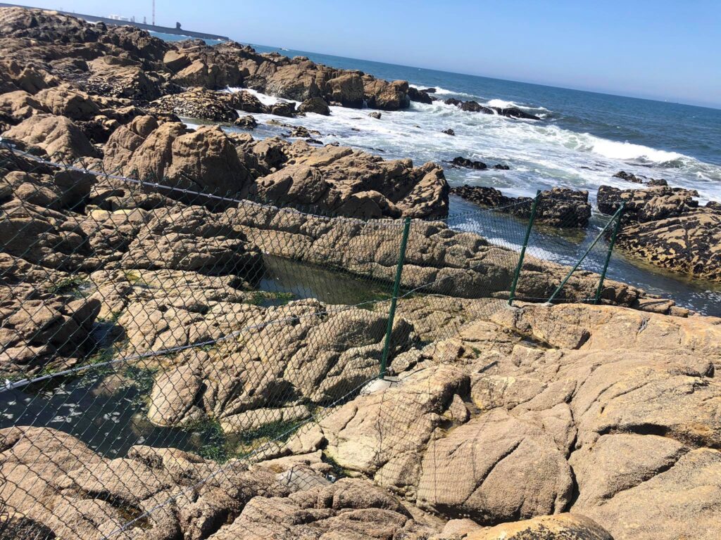 Vedigonçalves - 215219319 351734926500178 366243414884560692 n