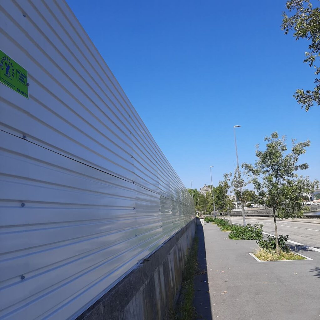 Vedigonçalves - 238642877 655060125885910 9100955640610860006 n