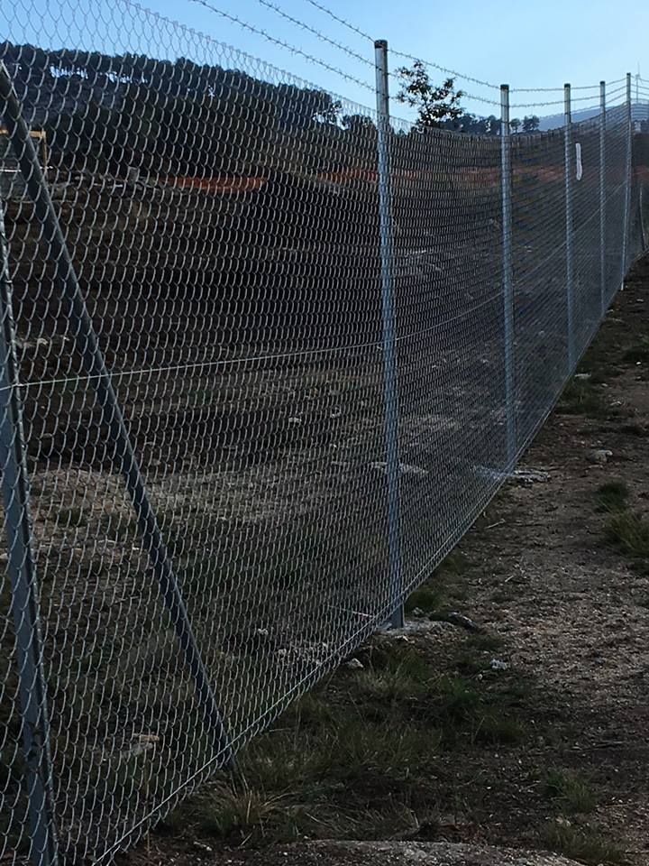 Vedigonçalves - 36677954 2309404839132543 3504654267988312064 n