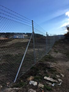 Vedigonçalves - 36745282 2309404365799257 6169647948641599488 n