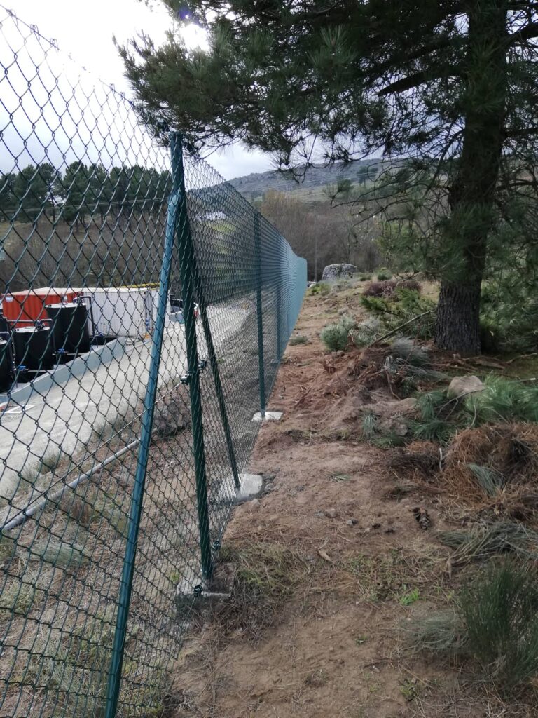 Vedigonçalves - 51768527 949054028624383 5422812732833398784 n