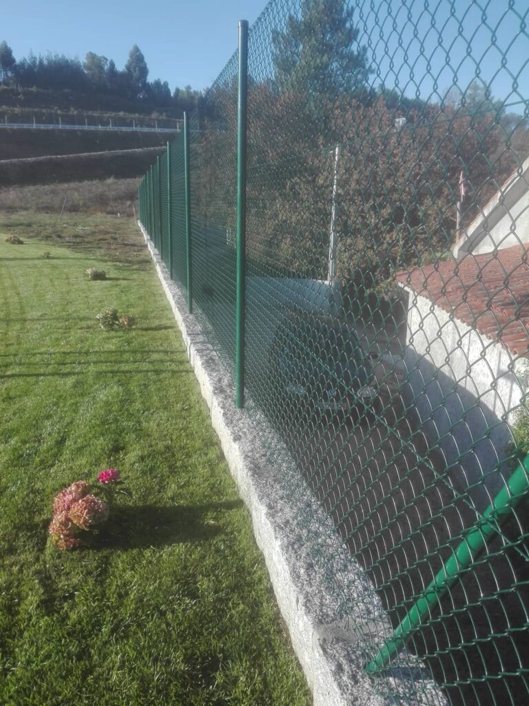 Vedigonçalves - 70619332 2161116400849555 1712821189434408960 n