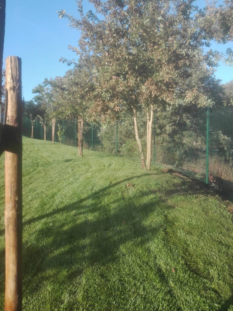 Vedigonçalves - 71029539 680585125795238 8598769966793097216 n