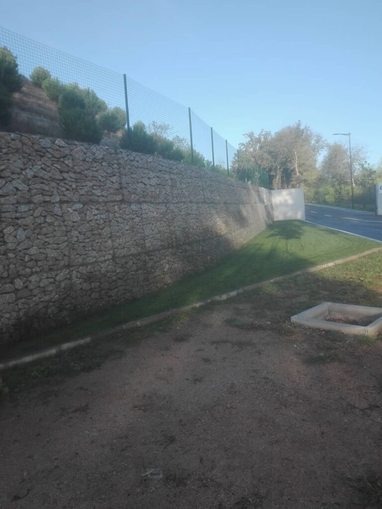 Vedigonçalves - 71069964 954251851591813 2948903740612018176 n