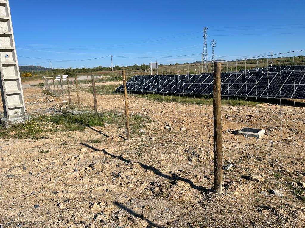 Vedigonçalves - 91bf470b 80f2 4010 88d7 c95e35363c3a