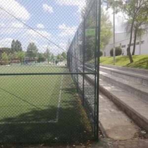 Vedigonçalves - 95872705 598260574377426 6047959159935074304 n