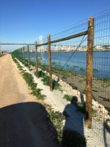 Vedigonçalves - a154f466 882e 4aec 9e21 817609bd9298