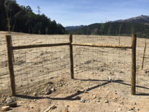 Vedigonçalves - c3721ff5 ff49 4c6e b1af fffe7f9c0ea5